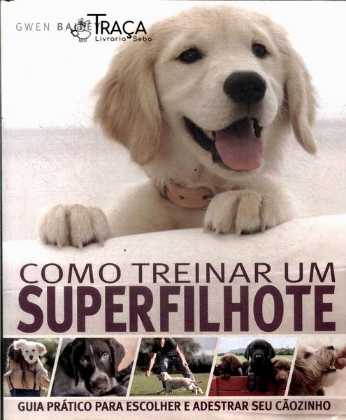 Como Treinar Um Superfilhote