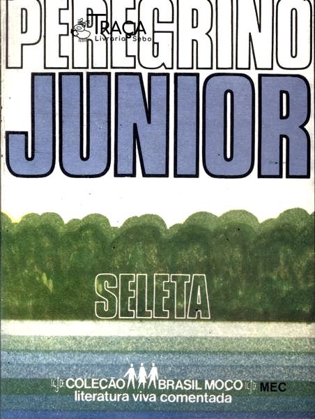 Peregrino Júnior