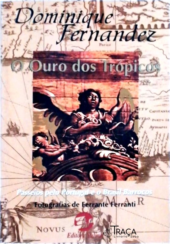 O Ouro Dos Trópicos: Passeios Pelo Portugal E O Brasil Barrocos