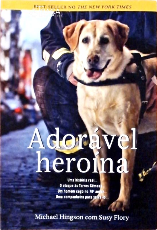 Adorável Heroína