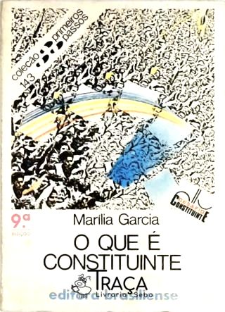 O Que É Constituinte
