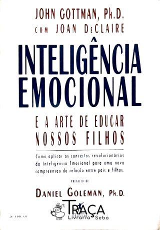 Inteligência Emocional e a Arte de Educar Nossos Filhos
