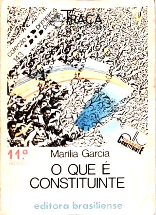 O Que É Constituinte