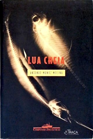 Lua Cheia
