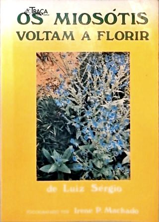 Os Miosótis Voltam a Florir