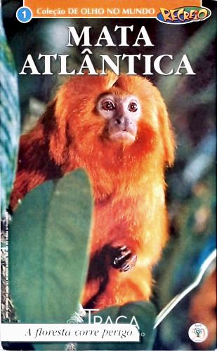 Mata Atlântica - a Floresta Corre Perigo