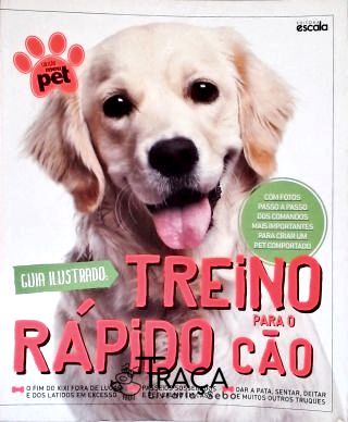 Guia Ilustrado: Treino Rápido para Seu Cão