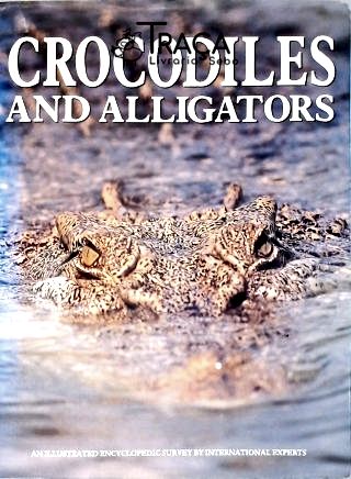 Crocodile and Alligators
