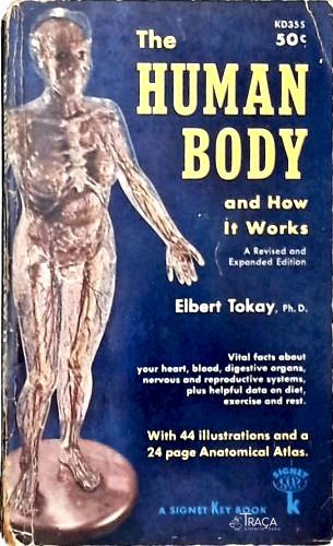 The Human Body And How It Works