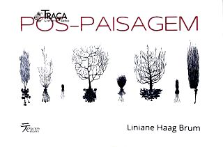 Pós-paisagem: Poemas