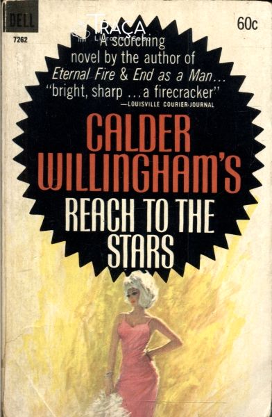 Reach To The Stars