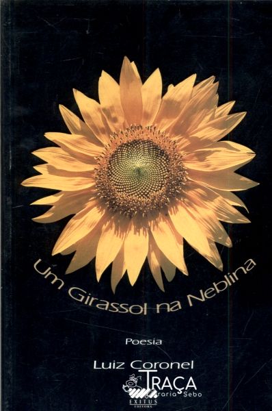 Um Girassol na Neblina