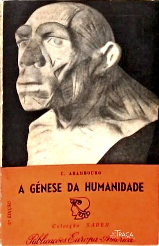 A Génese da Humanidade