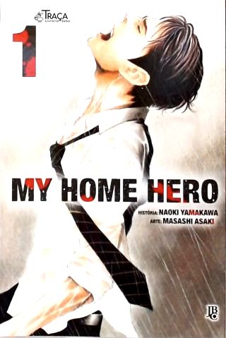 Vol. 1 - My Home Hero
