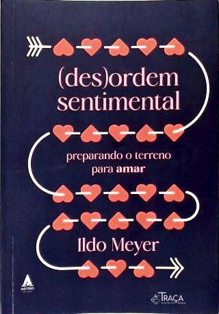 Desordem Sentimental: Preparando o terreno para amar