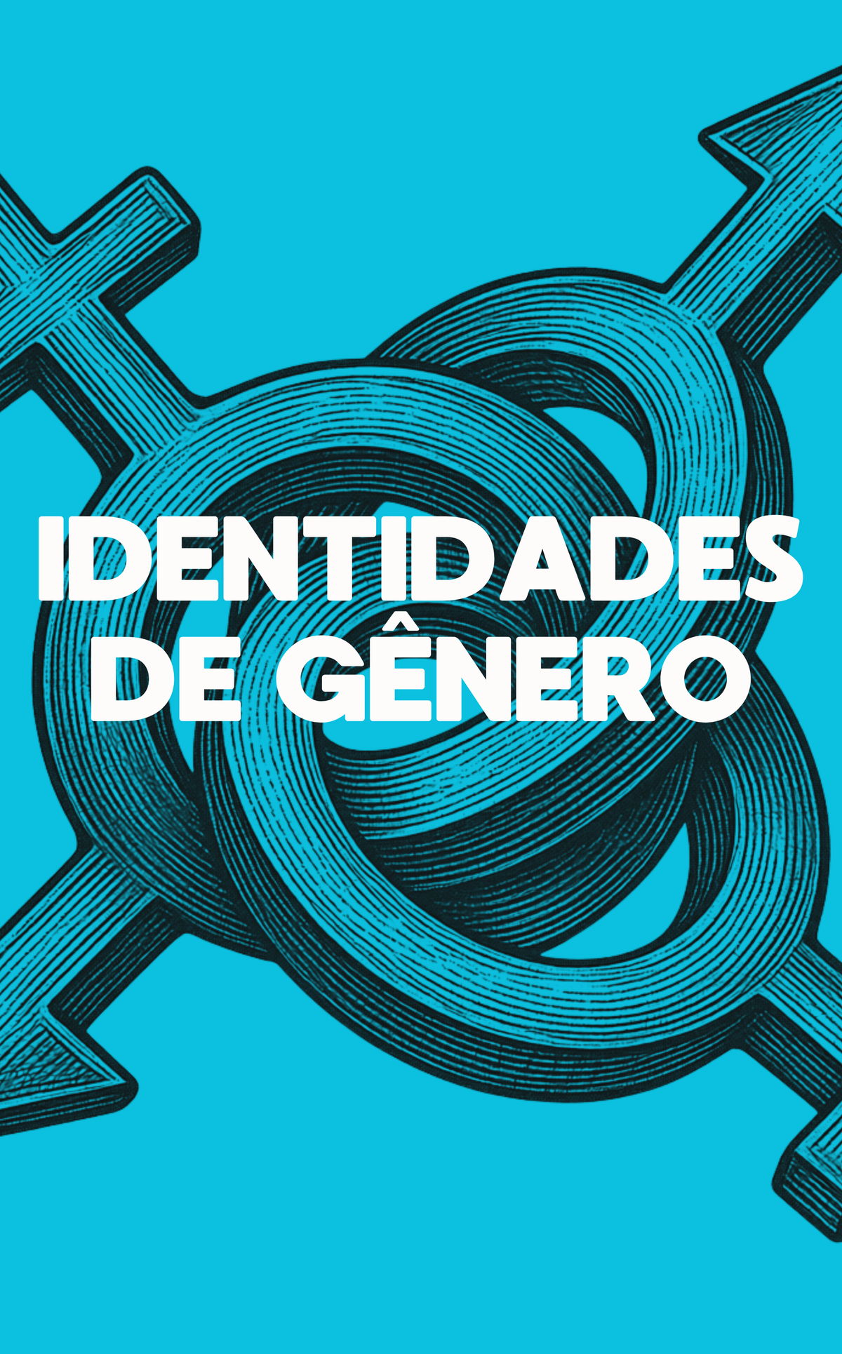 IDENTIDADES DE GÊNERO