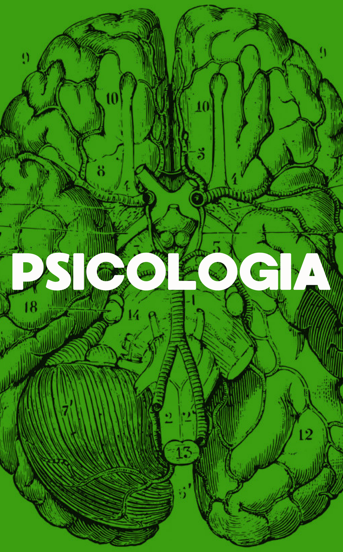 PSICOLOGIA