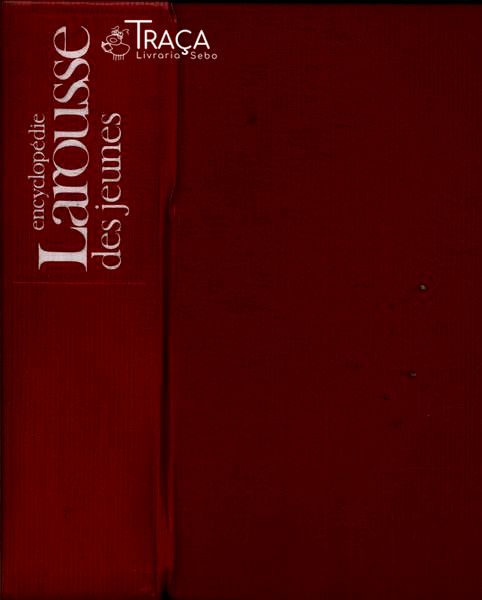 Encyclopédie Larousse Des Jeunes (1991)