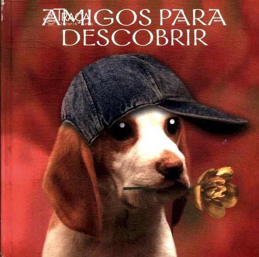 Amigos para Descobrir