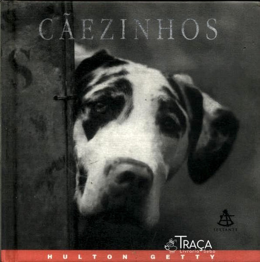 Cãezinhos