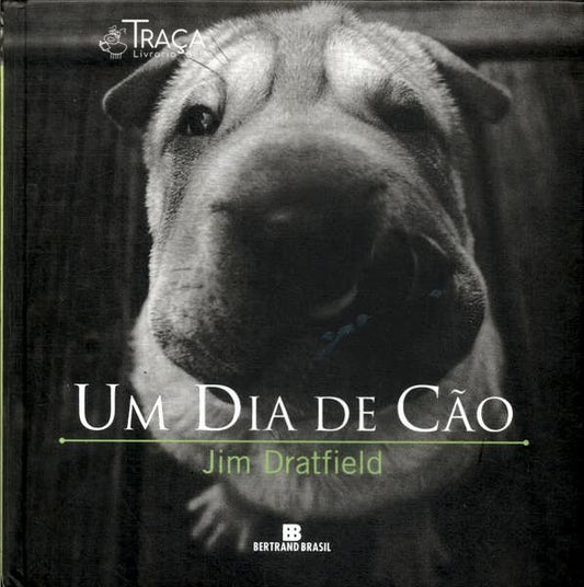 Um Dia de Cão