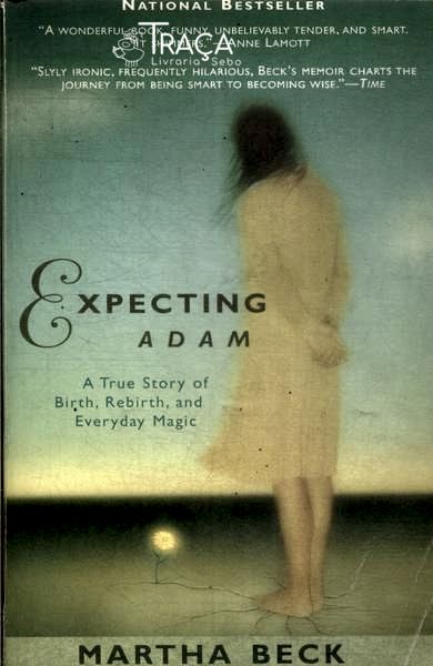 Expecting Adam