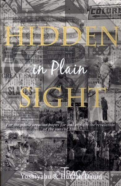 Hidden In Plain Sight