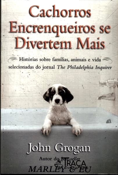 Cachorros Encrenqueiros Se Divertem Mais