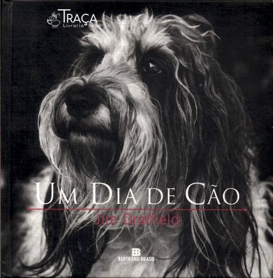 Um Dia de Cão