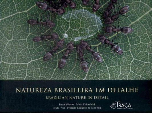 Natureza Brasileira em Detalhe