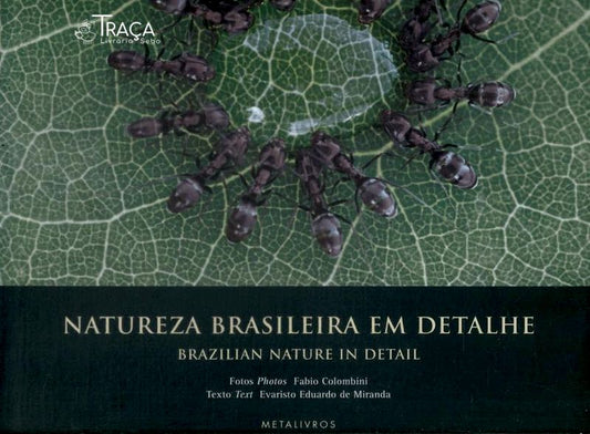 Natureza Brasileira em Detalhe