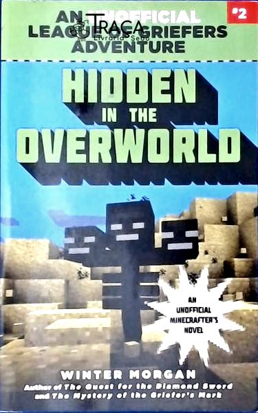 Hidden In The Overworld
