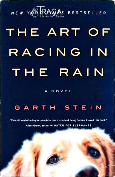 The Art Of Racing In The Rain