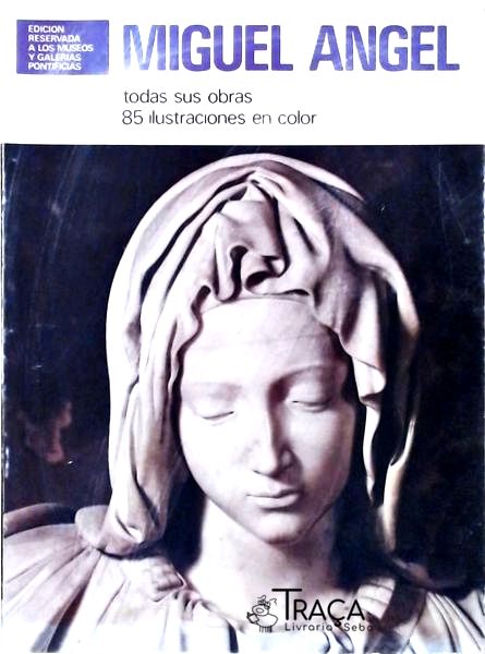 Miguel Angel: Todas Sus Obras 85 Ilustraciones En Color