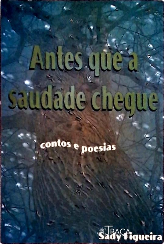 Antes Que a Saudade Chegue
