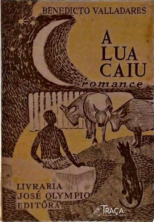 A Lua Caiu