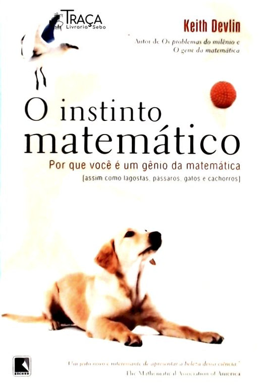 O Instinto Matemático