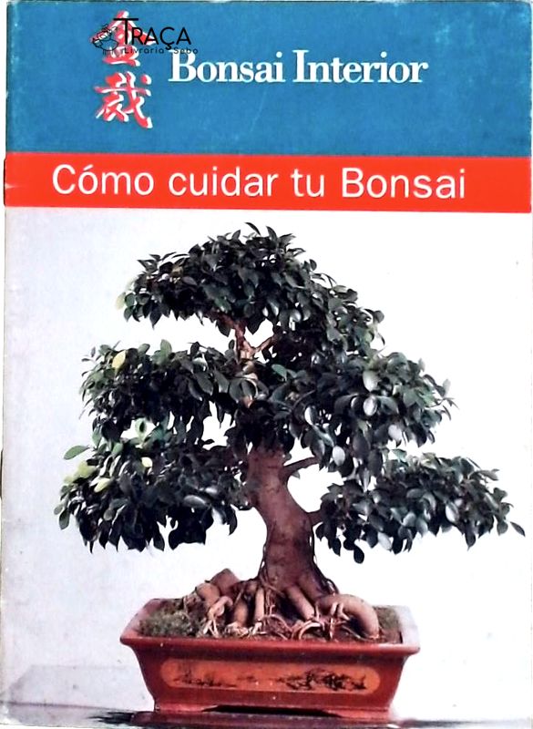 Cómo Cuidar Tu Bonsai