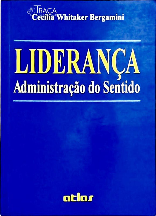 Liderança - Administração do Sentido