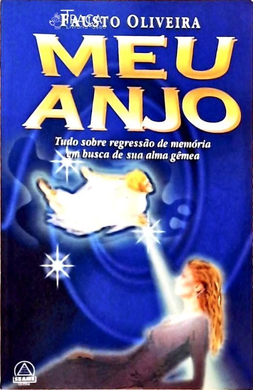 Meu Anjo - Tudo Sobre Regressão de Memória em Busca de Sua Alma Gêmea