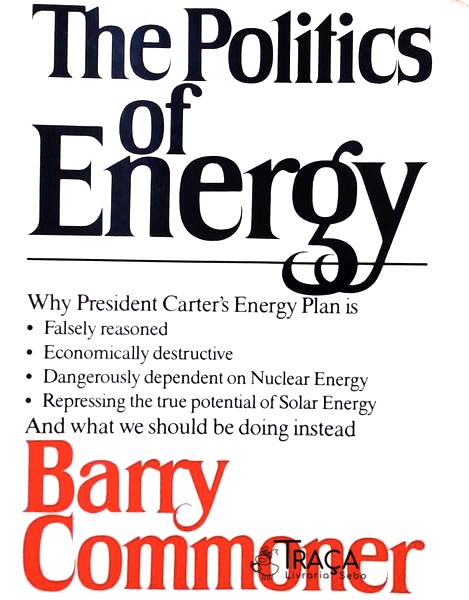The Politics Of Energy