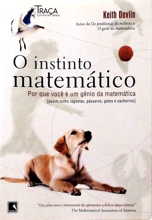 O Instinto Matemático