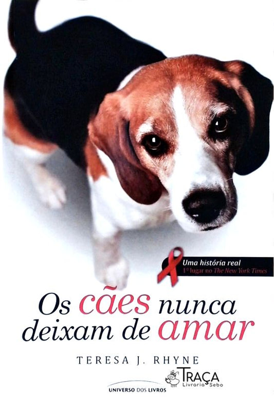Os Cães Nunca Deixam de Amar