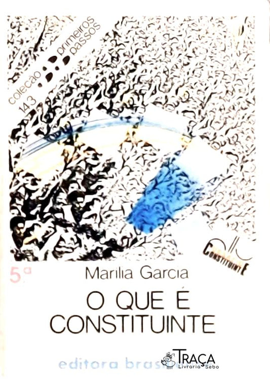 O Que é Constituinte