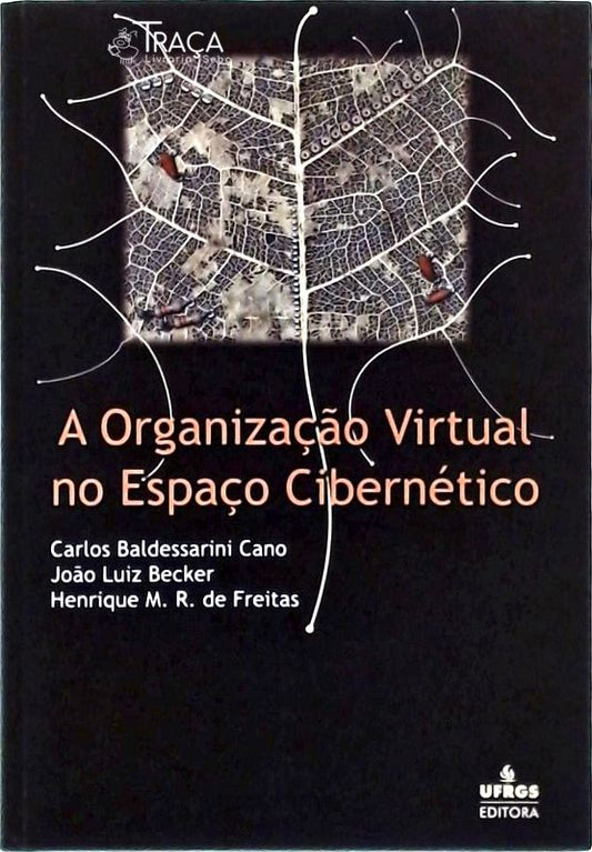 A Organização Virtual No Espaço Cibernético