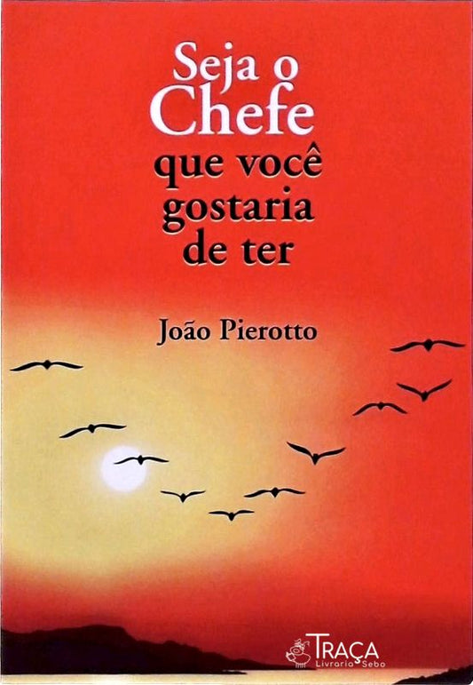 Seja o Chefe Que Você Gostaria de Ter