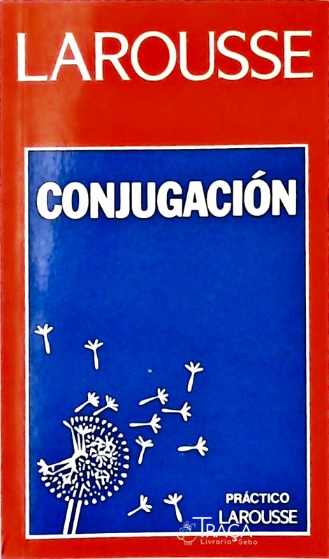 Dicionário Práctico - Conjugación