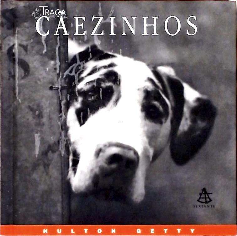 Cãezinhos - Uma Celebração Fotográfica