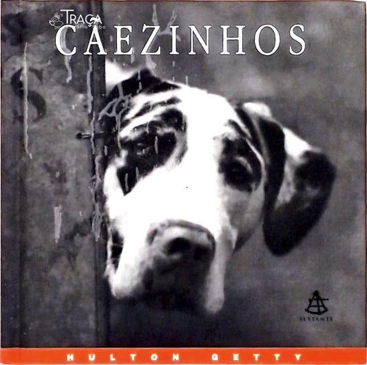 Cãezinhos - Uma Celebração Fotográfica
