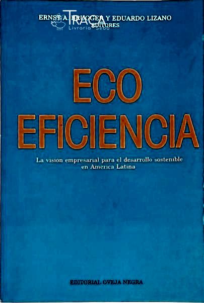 Eco Eficiencia - La Visión Empresarial